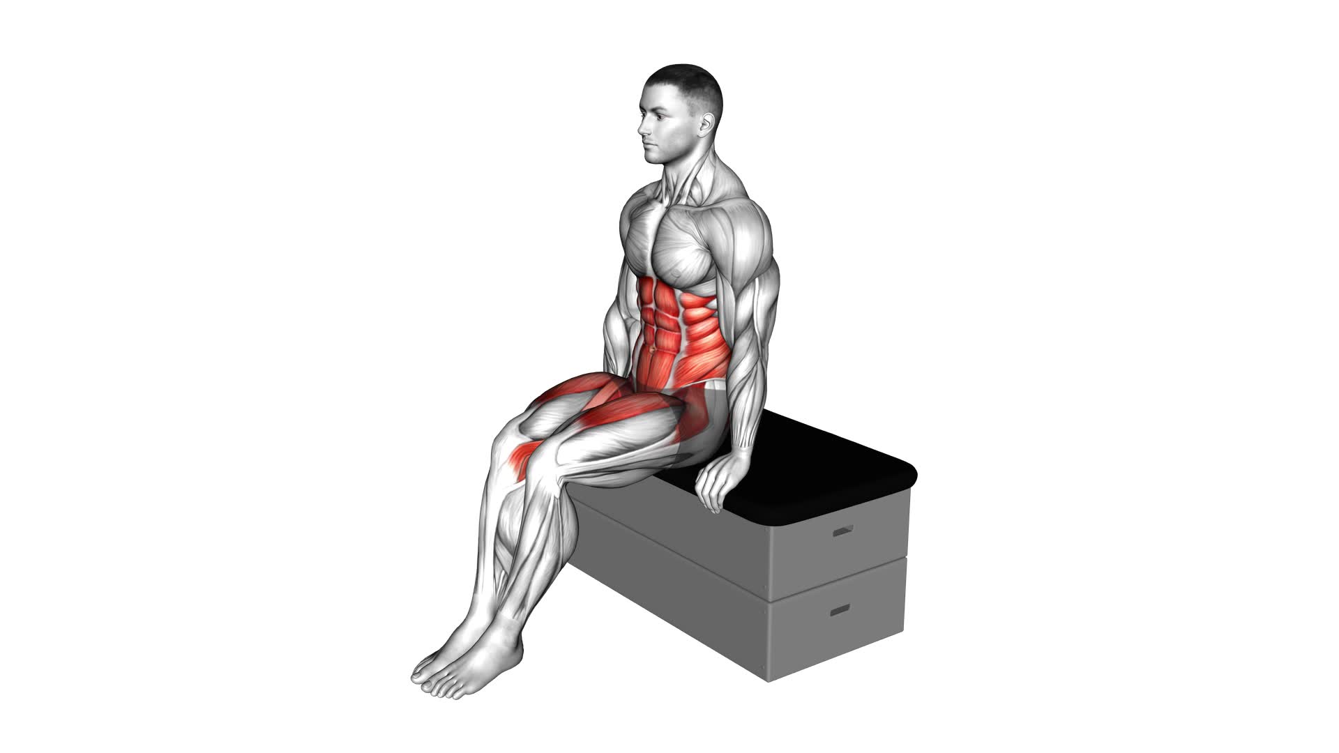 Open and Knee Tuck on a Padded Stool (Male) - Video Exercise Guide & Tips