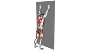 Opposite Arm and Leg Raise Against Wall (Male) - Video Exercise Guide & Tips