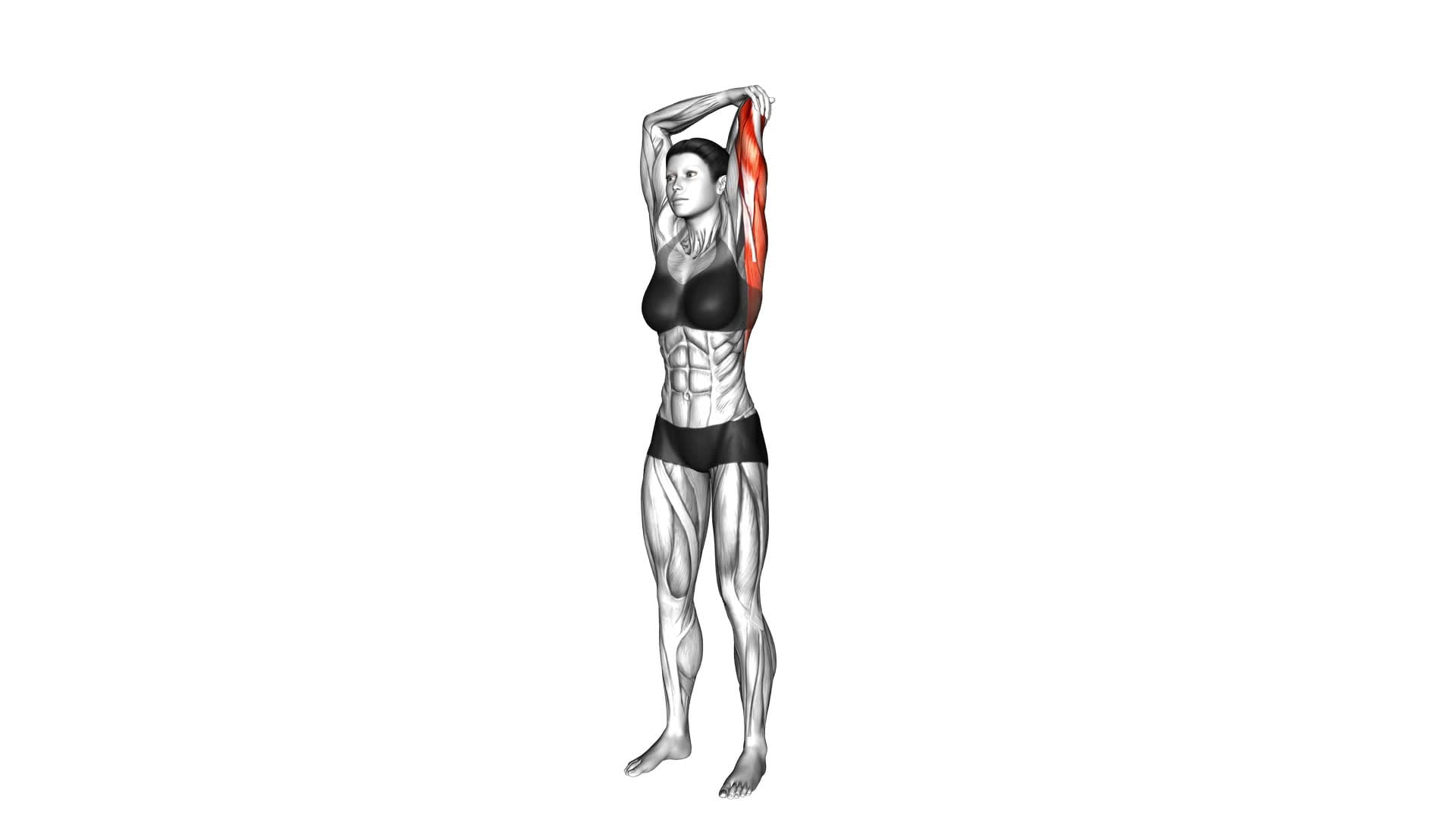 Overhead Triceps Stretch (female) - Video Exercise Guide & Tips