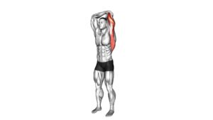 Overhead Triceps Stretch - Video Exercise Guide & Tips