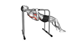 Parallel Bars Bent Knee Inverted Row (male) - Video Exercise Guide & Tips