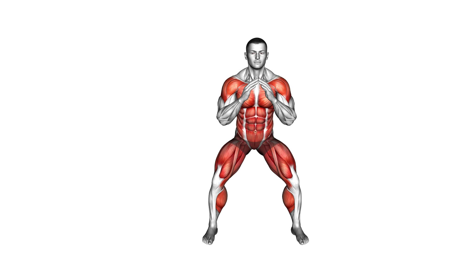 Pendulum Leg Plus (male) - Video Exercise Guide & Tips