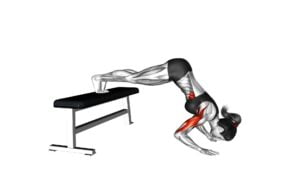 Pike Push-up (on Bench) (VERSION 2) (female) - Video Exercise Guide & Tips