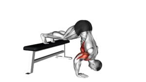Pike Push-up (on Bench) (VERSION 2) - Video Exercise Guide & Tips