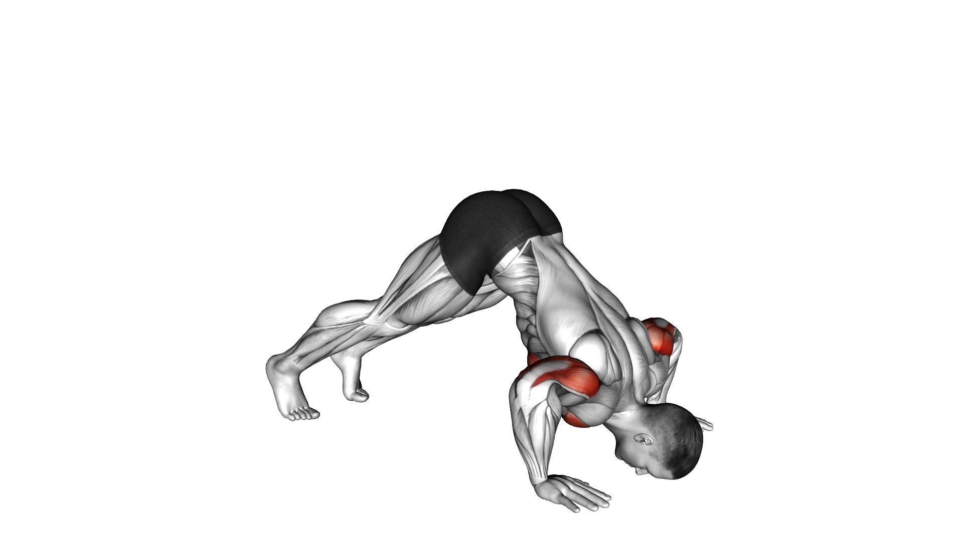 Pike Push-up - Video Exercise Guide & Tips