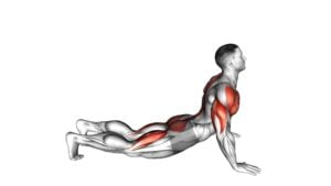 Pike to Cobra Push-up - Video Exercise Guide & Tips