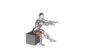 Pistol Squat to Box - Video Exercise Guide & Tips