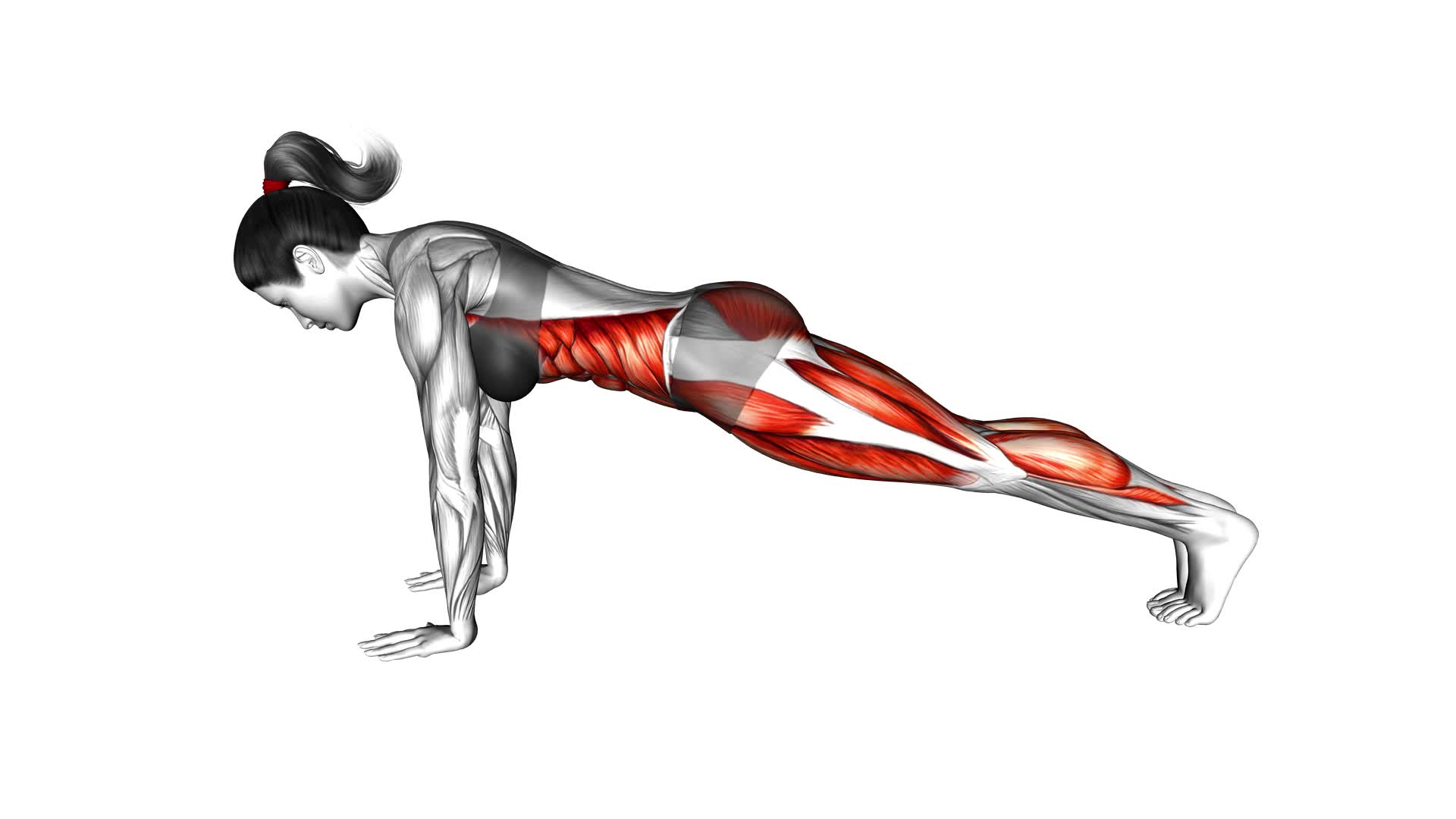 Plank Alternate Knee Tuck (female) - Video Exercise Guide & Tips