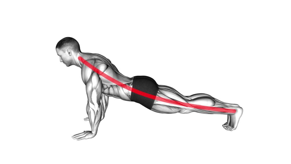 Plank - Butt (WRONG RIGHT) - Video Exercise Guide & Tips