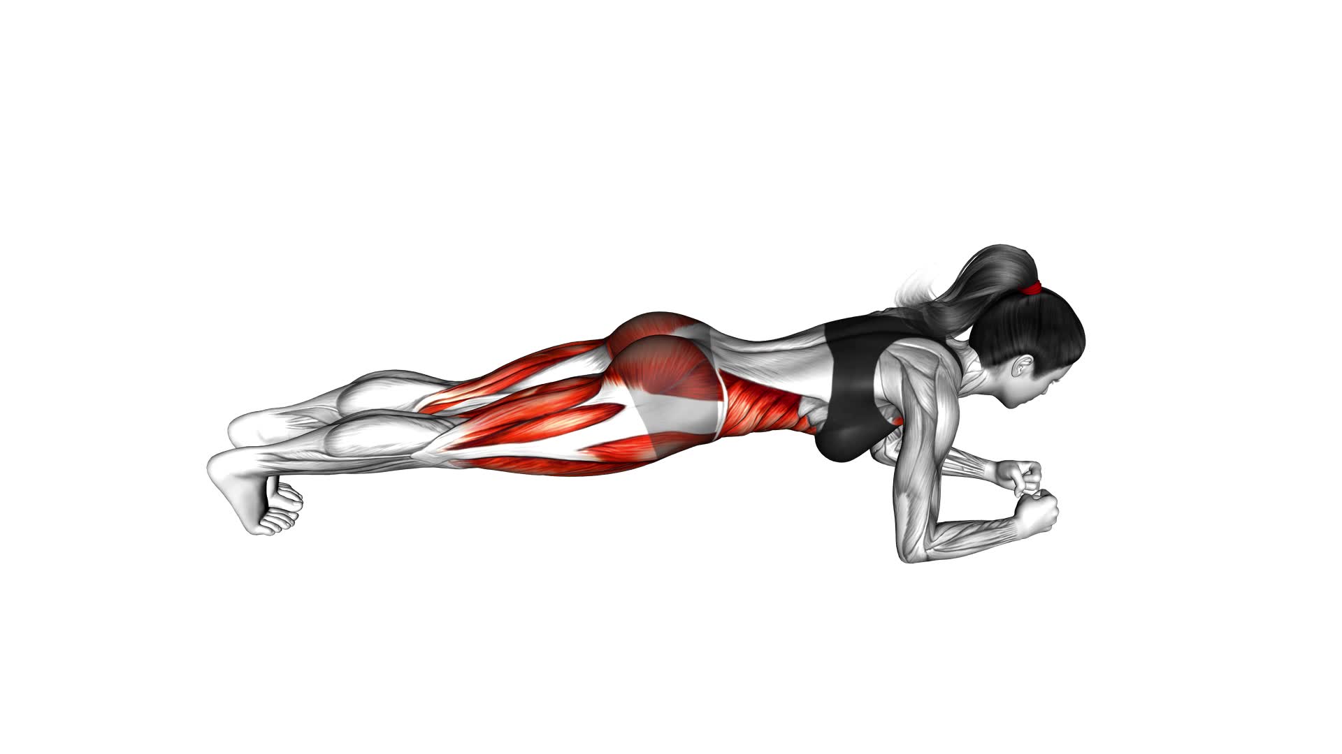 Plank Feet Tap - Video Exercise Guide & Tips