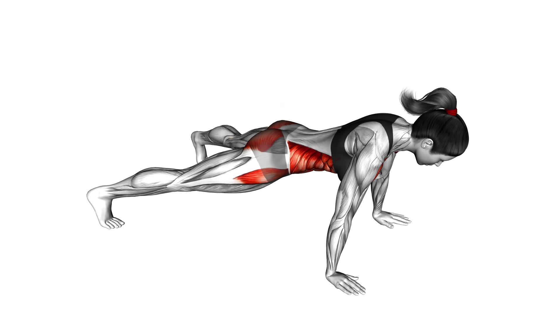 Plank Jack (Female): Ultimate Video Guide & Tips For Effective Workouts