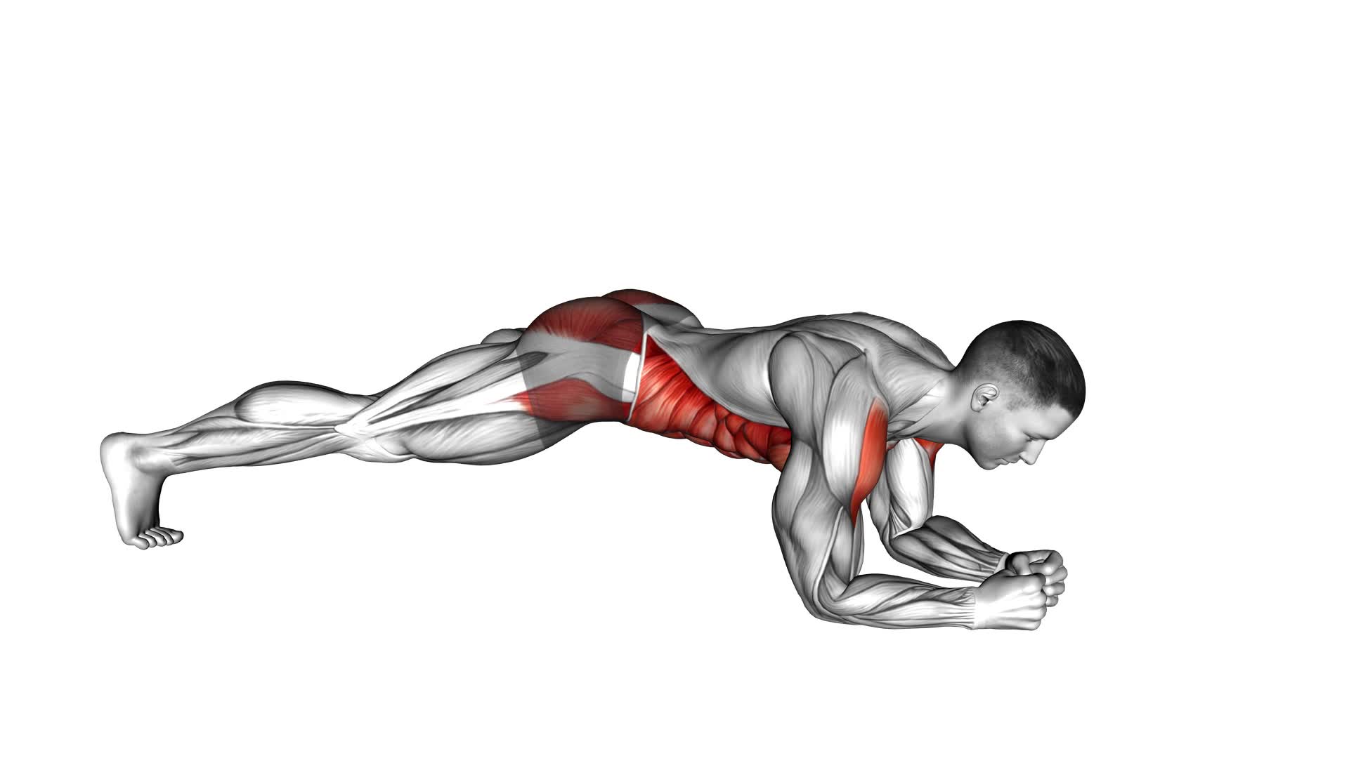 Plank Jack on Elbows - Video Exercise Guide & Tips