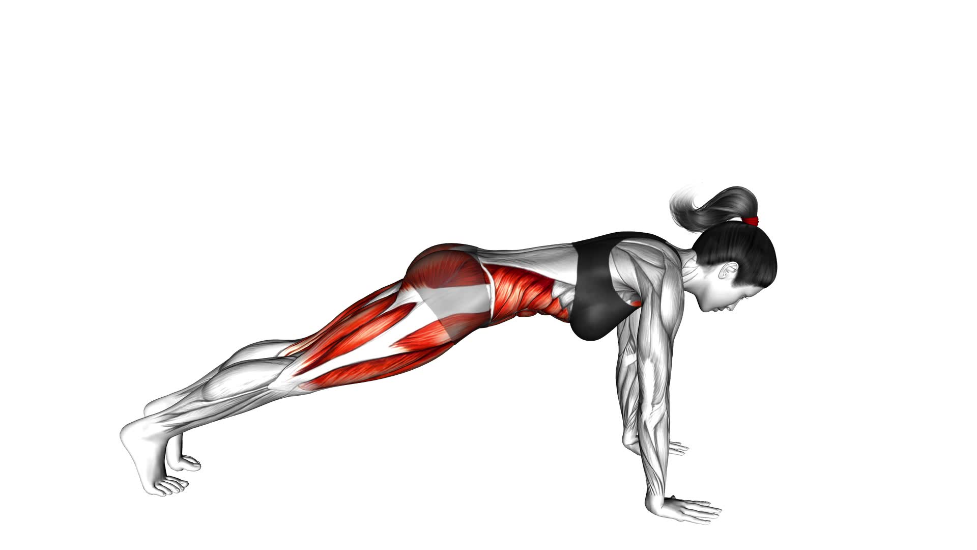 Plank Leg Raises (female) - Video Exercise Guide & Tips