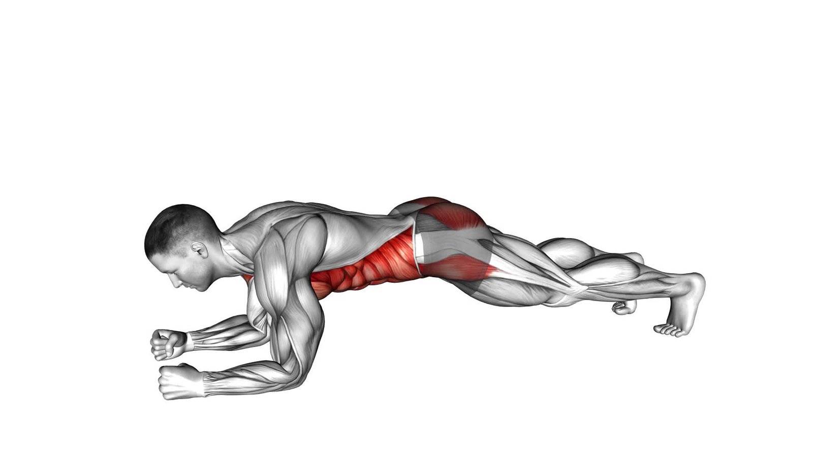 Plank Shoulder Tap Ultimate Exercise Guide Tips