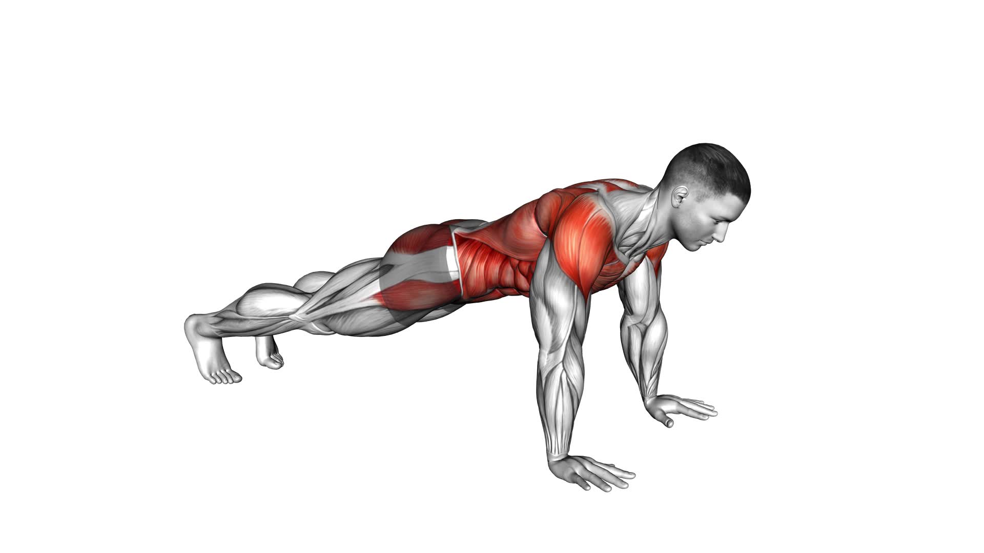 Plank Thigh Tap (male) - Video Exercise Guide & Tips