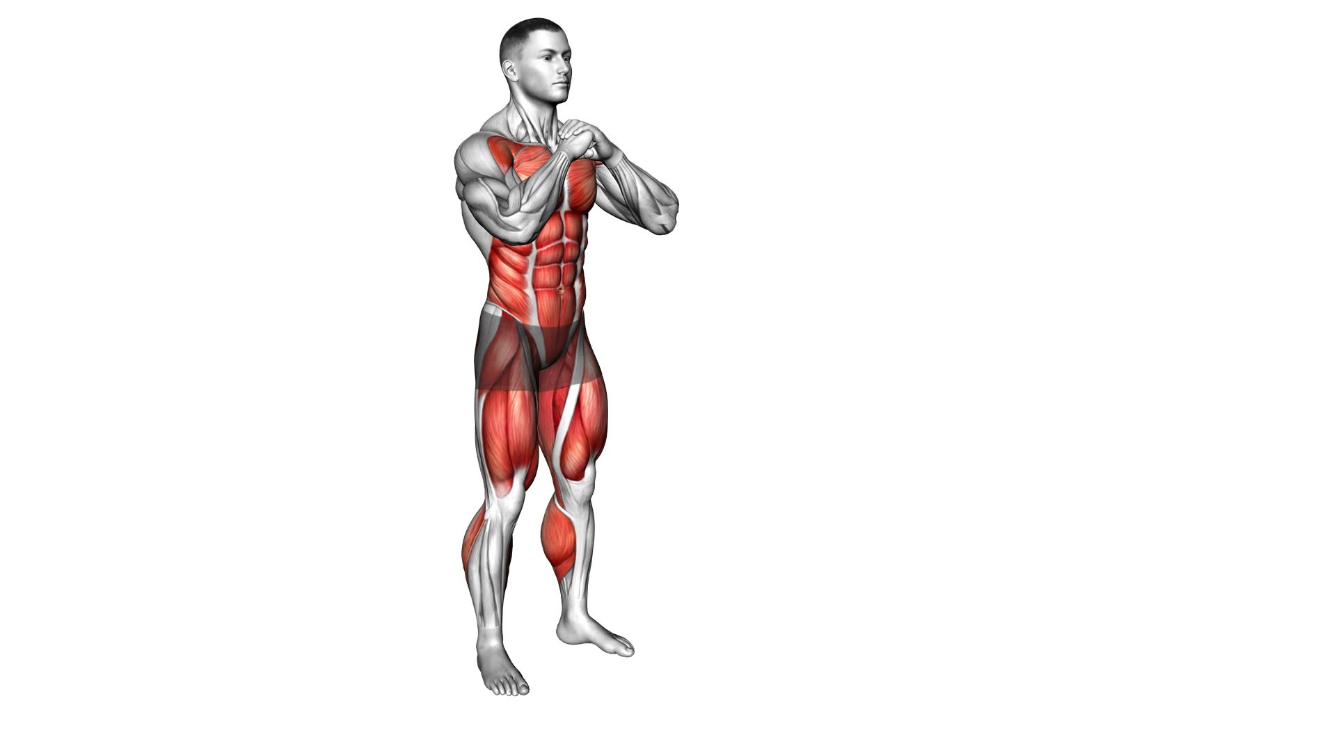 Plank Walk Squat (male) - Video Exercise Guide & Tips