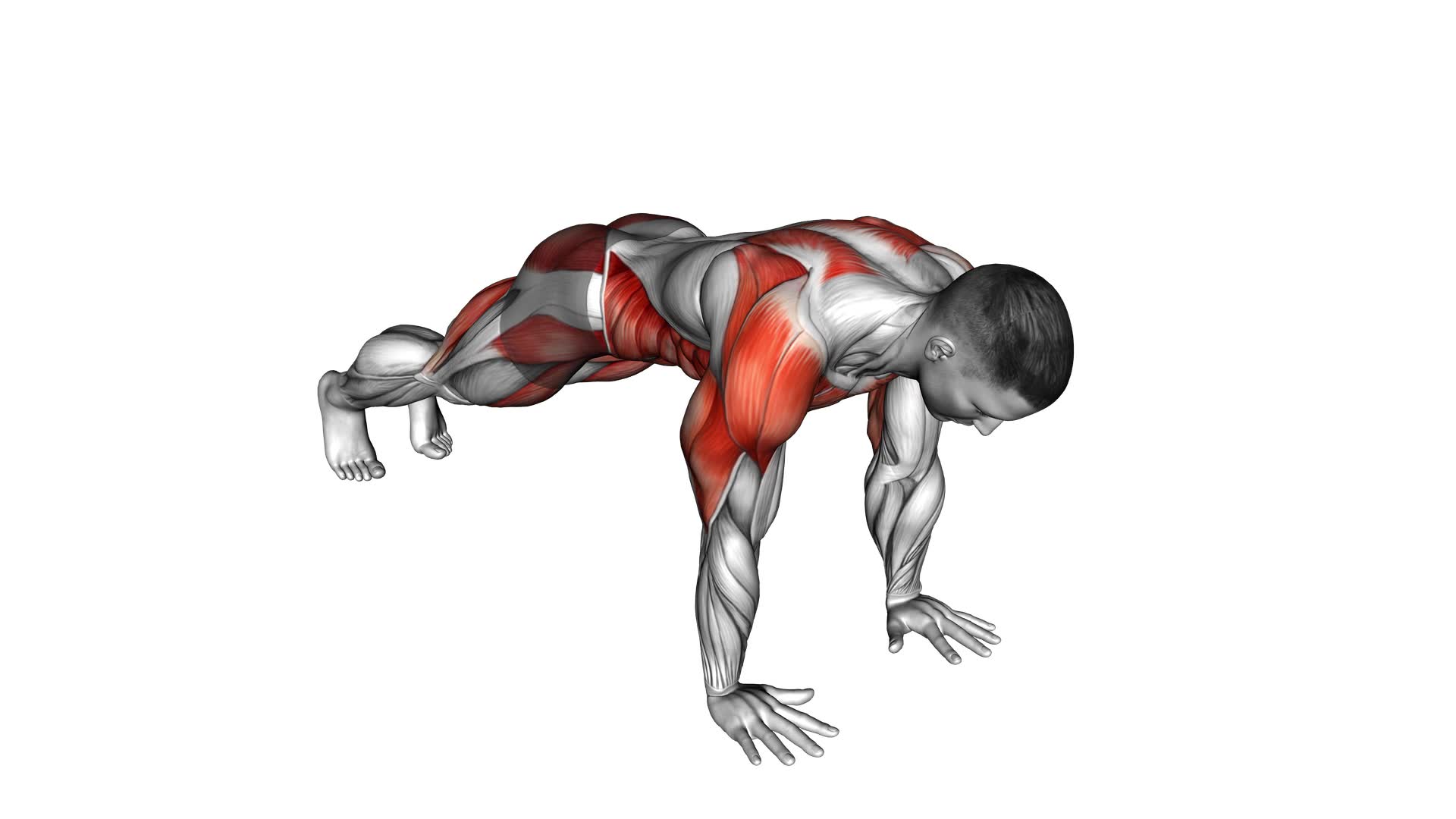 Planked Side Toe Tap (male) - Video Exercise Guide & Tips