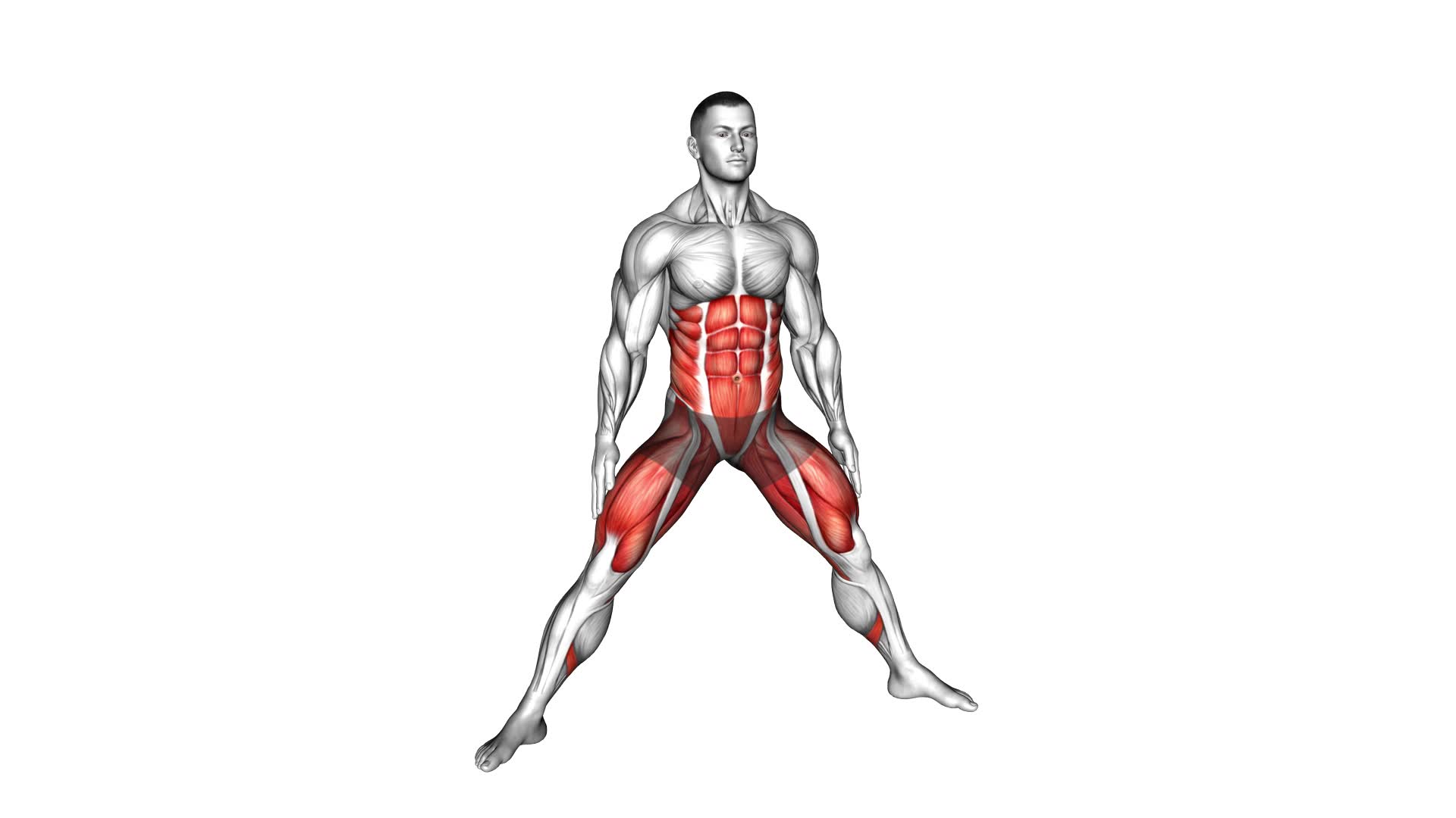 Plyo Side Lunge Stretch (male) - Video Exercise Guide & Tips