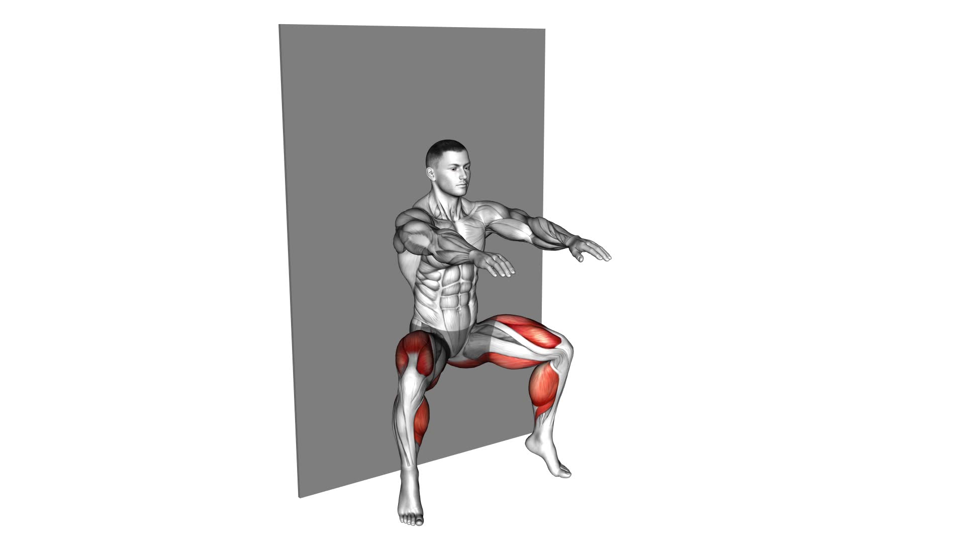 Plyo Sit Squat (wall) - Video Exercise Guide & Tips