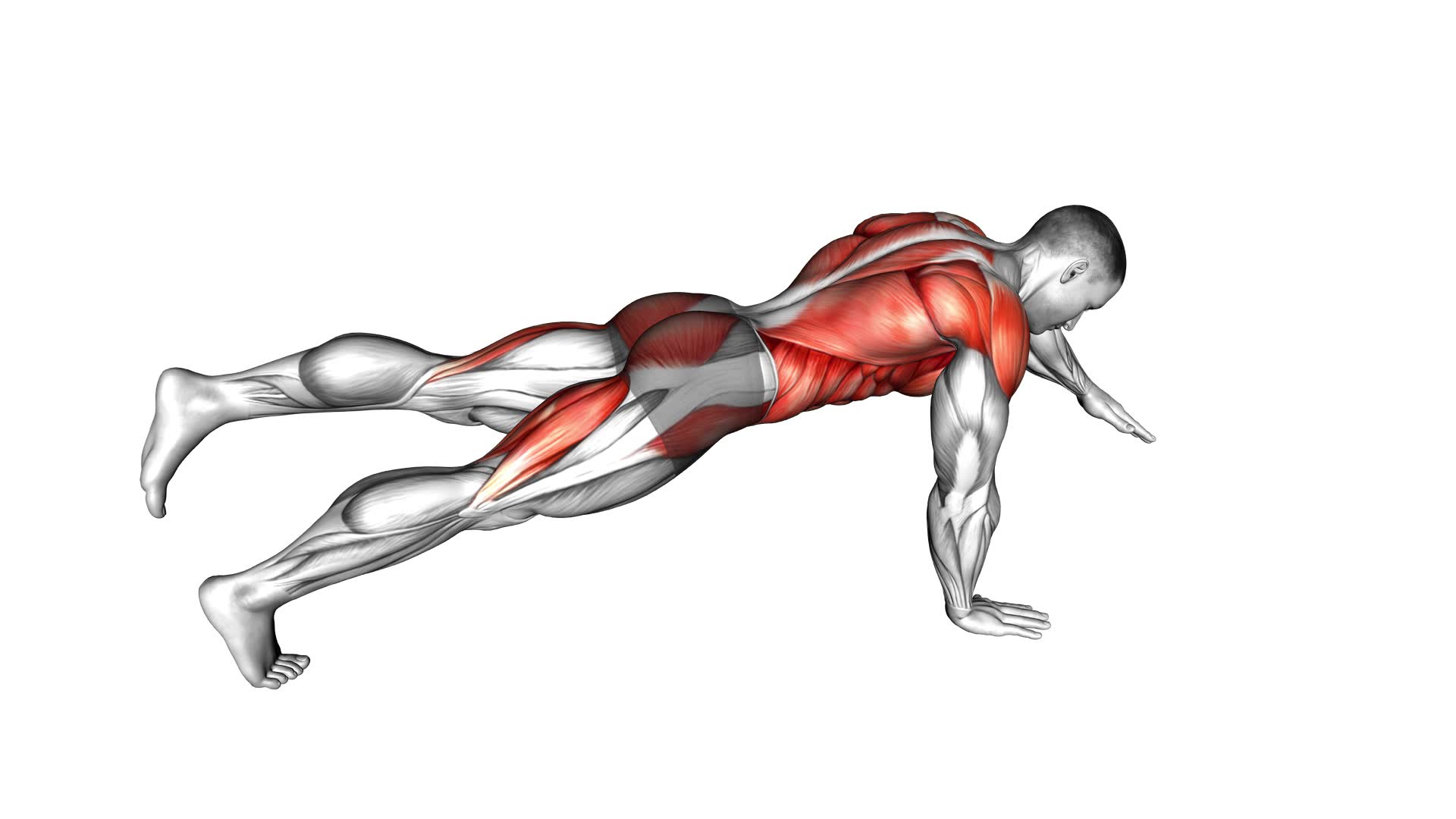 Power Point Plank - Video Exercise Guide & Tips