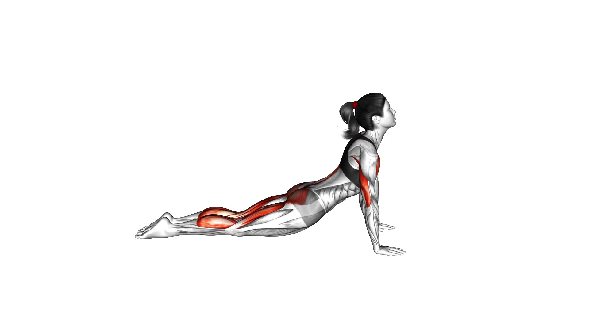 Prone Press Swan (female) - Video Exercise Guide & Tips