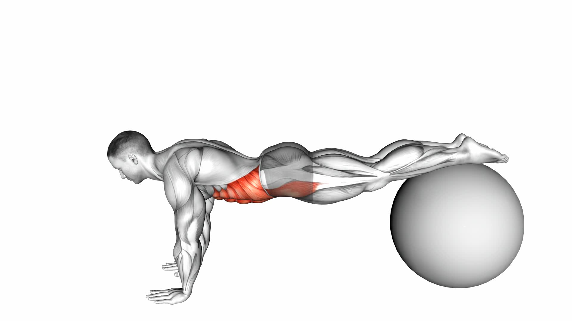 Pull-In (On Stability Ball) - Video Exercise Guide & Tips