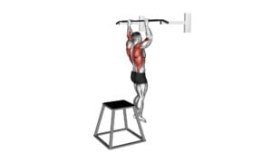 Pull-up (negative) (male) - Video Exercise Guide & Tips