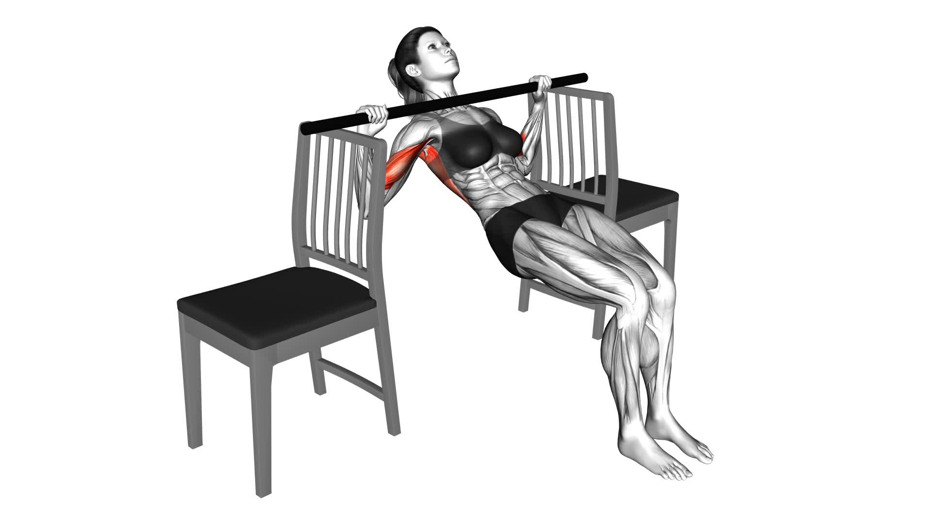 Pull-Up With Bent Knee Between Chairs (Female) - Video Exercise Guide & Tips