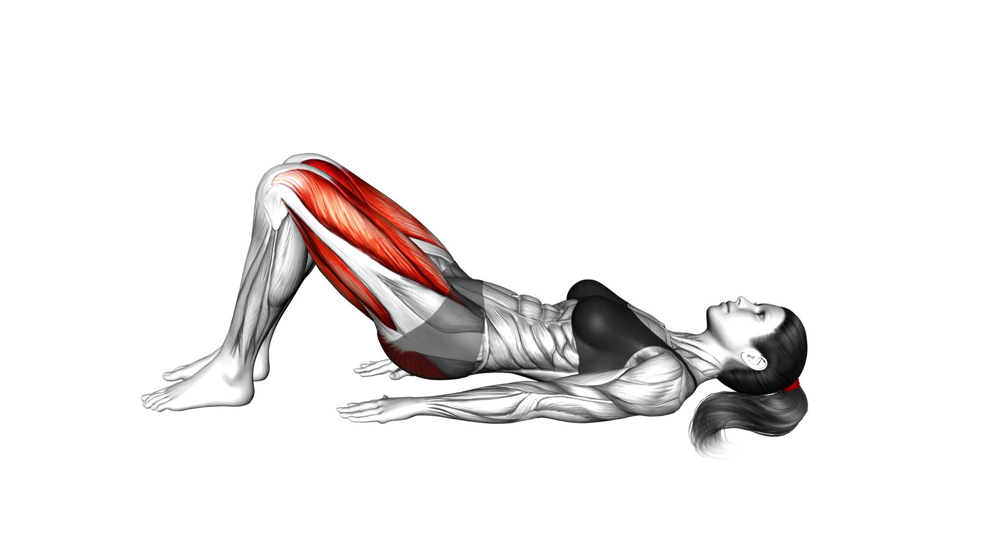 Pulsing Glute Bridge (female) - Video Exercise Guide & Tips