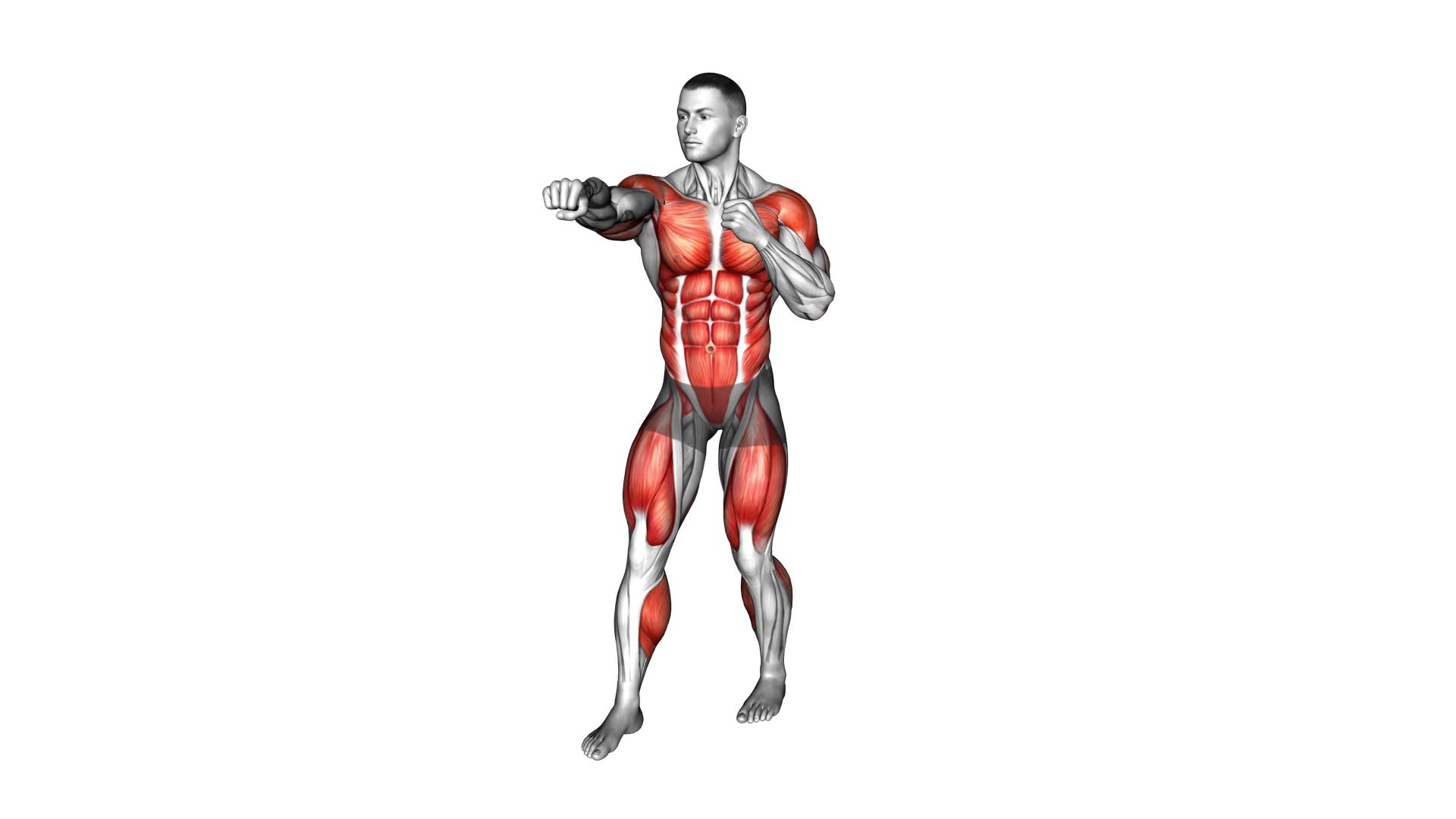 Maximize Your Workout: Punch Step Forward (Male) - Video Exercise Guide ...