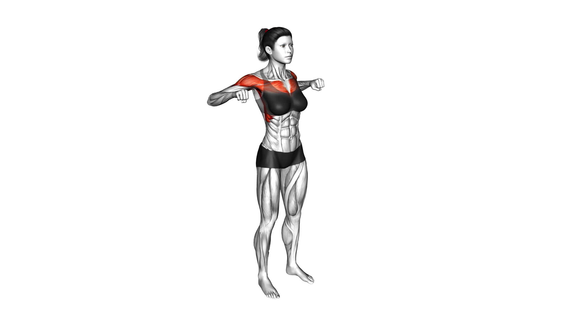 Push and Arms Crossover (female) - Video Exercise Guide & Tips