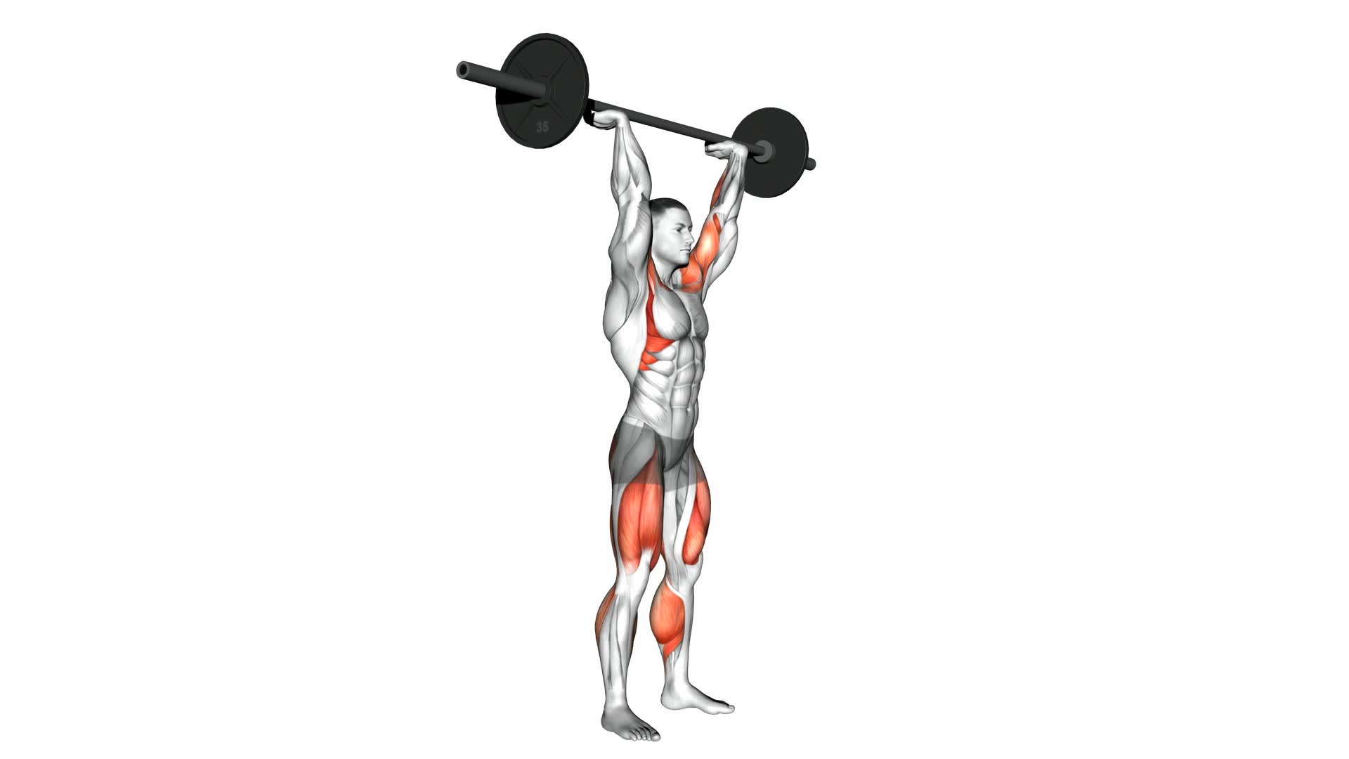 Push Press - Video Exercise Guide & Tips