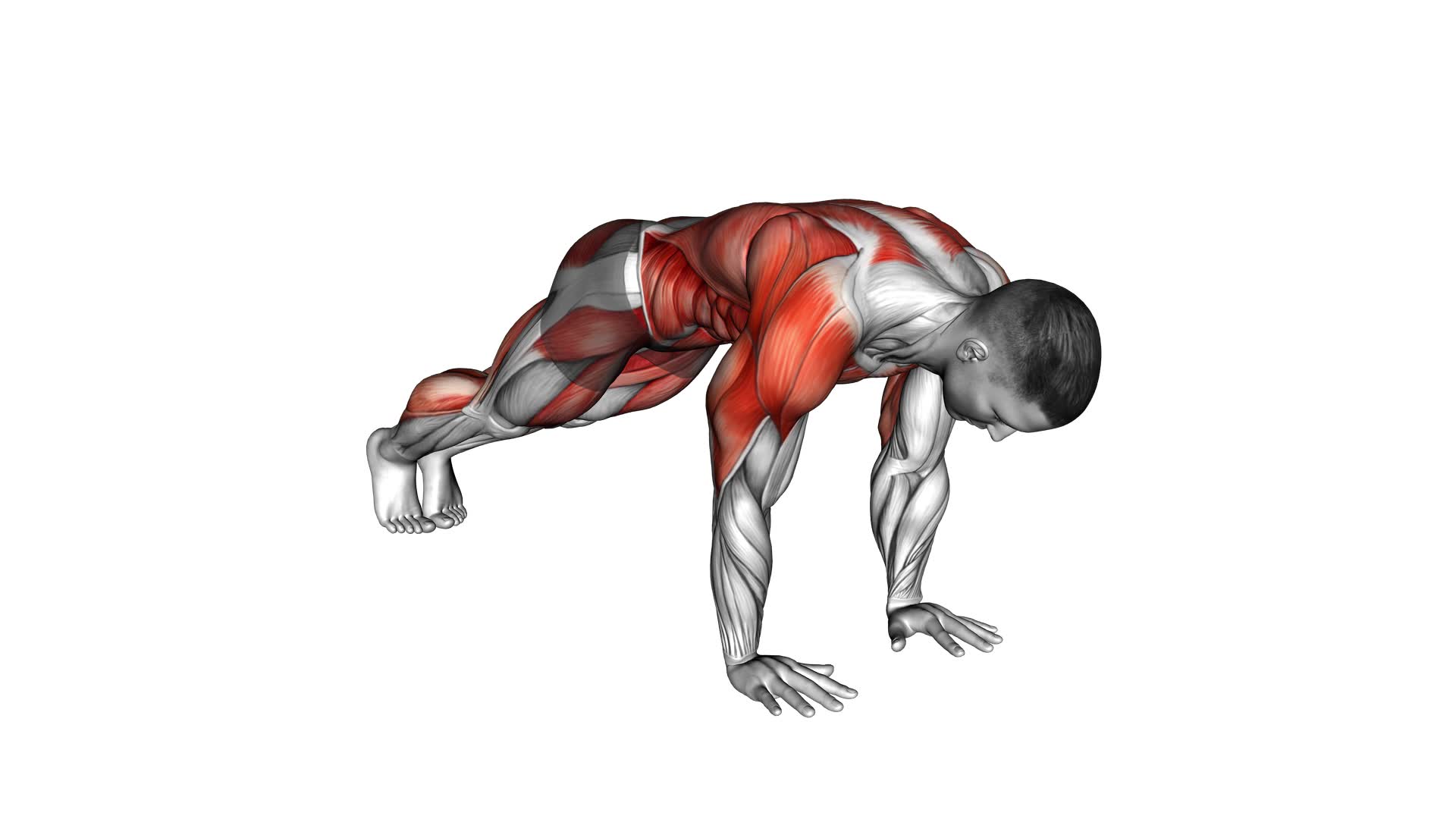 Push-up 3 Points Hops (male) - Video Exercise Guide & Tips