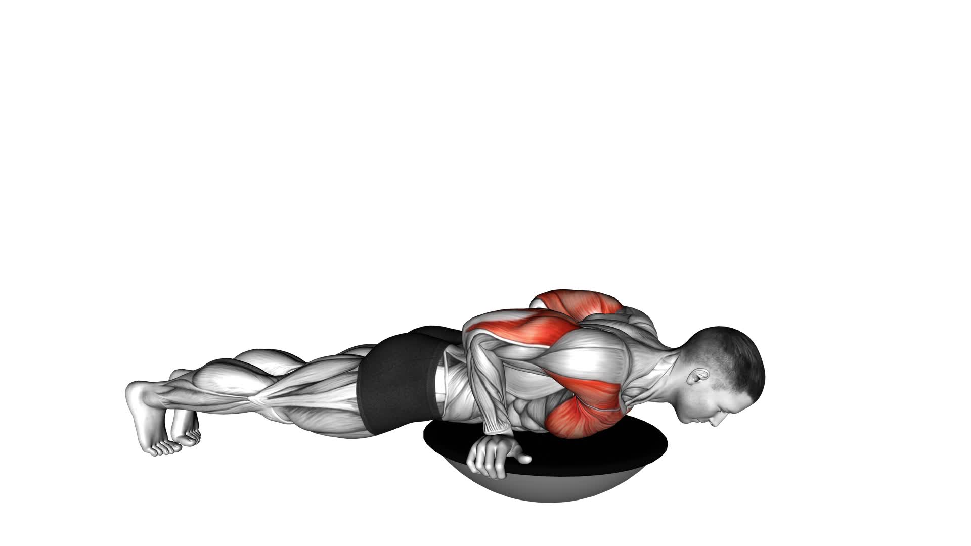 Push-Up (Bosu Ball) - Video Exercise Guide & Tips