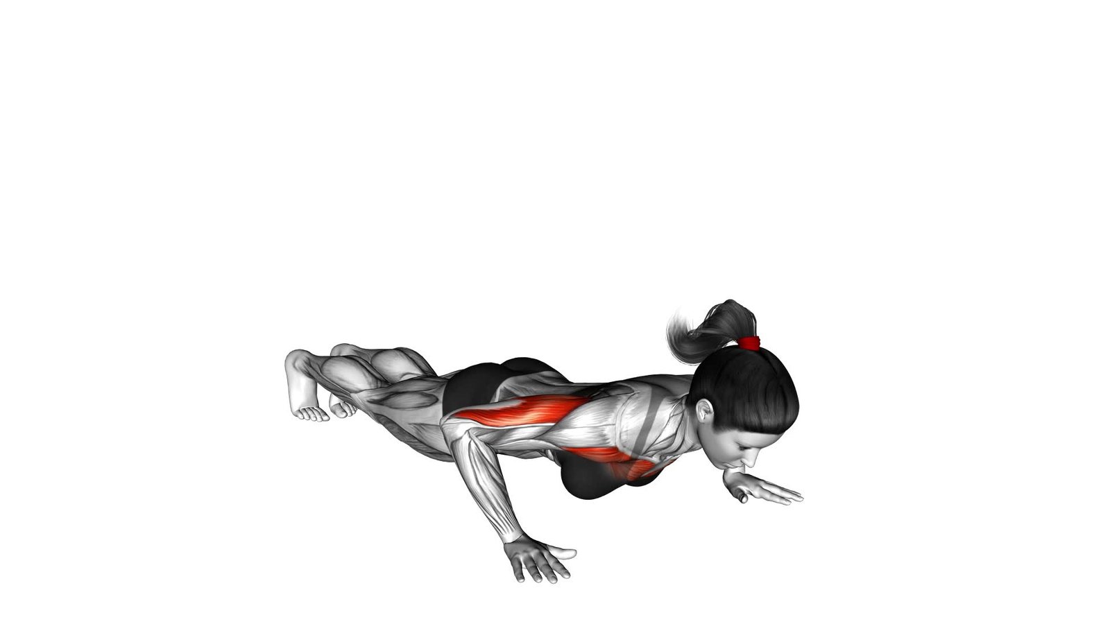 Push-up (female) - Ultimate Video Guide & Expert Tips