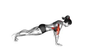 Push-up Plus (female) - Video Exercise Guide & Tips