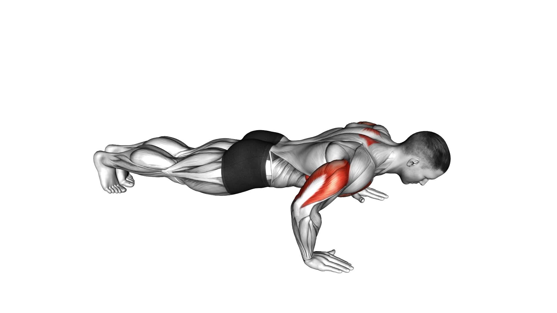 Push-Up Plus - Video Exercise Guide & Tips