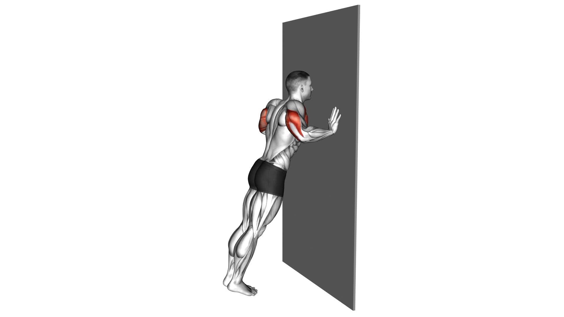 Push-up (wall) - Video Exercise Guide & Tips