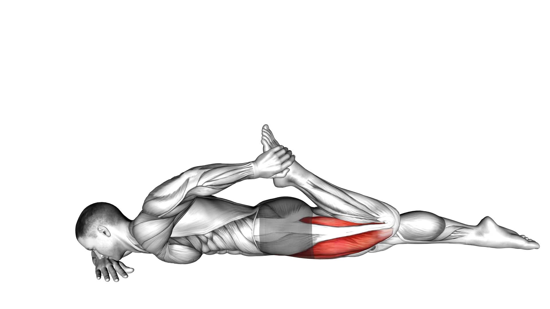 Quadriceps Lying Stretch (Male) - Video Exercise Guide & Tips