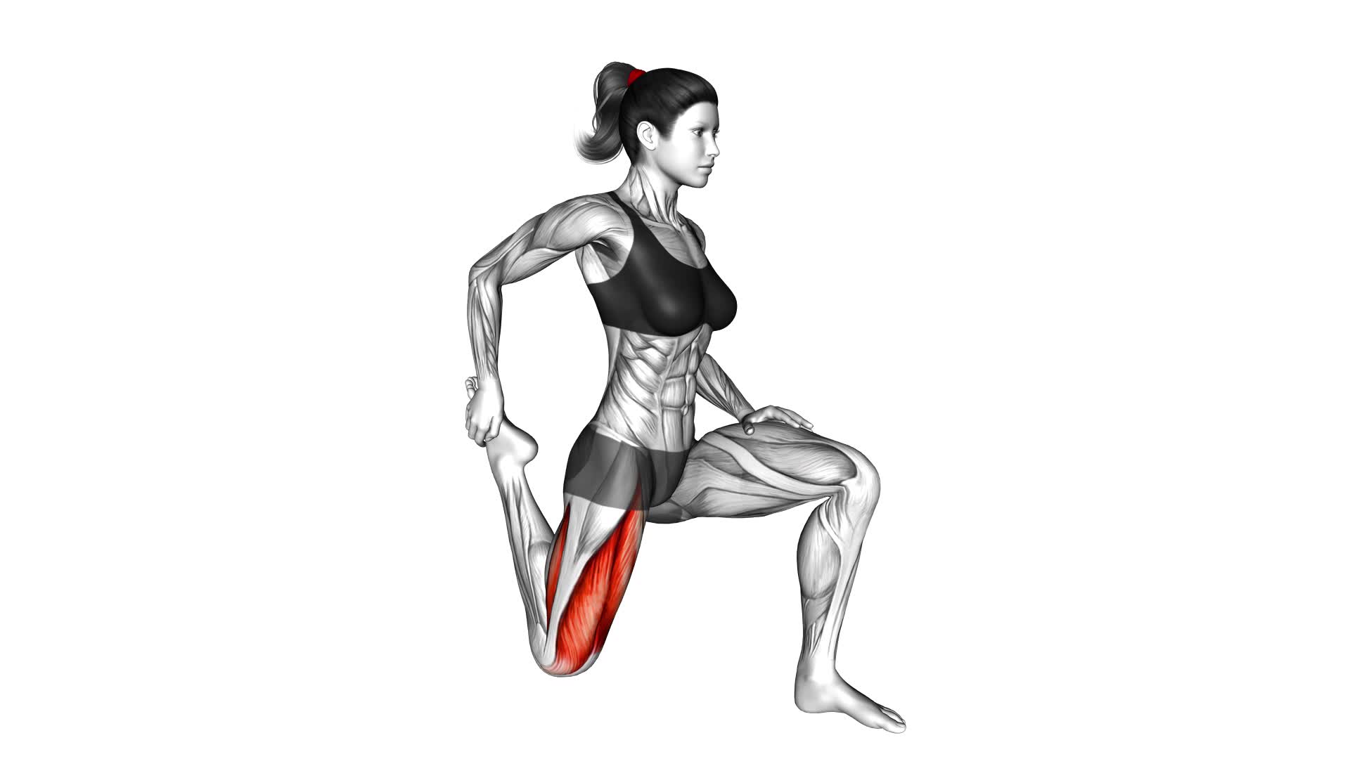 Quadriceps Stretch (female) - Video Exercise Guide & Tips