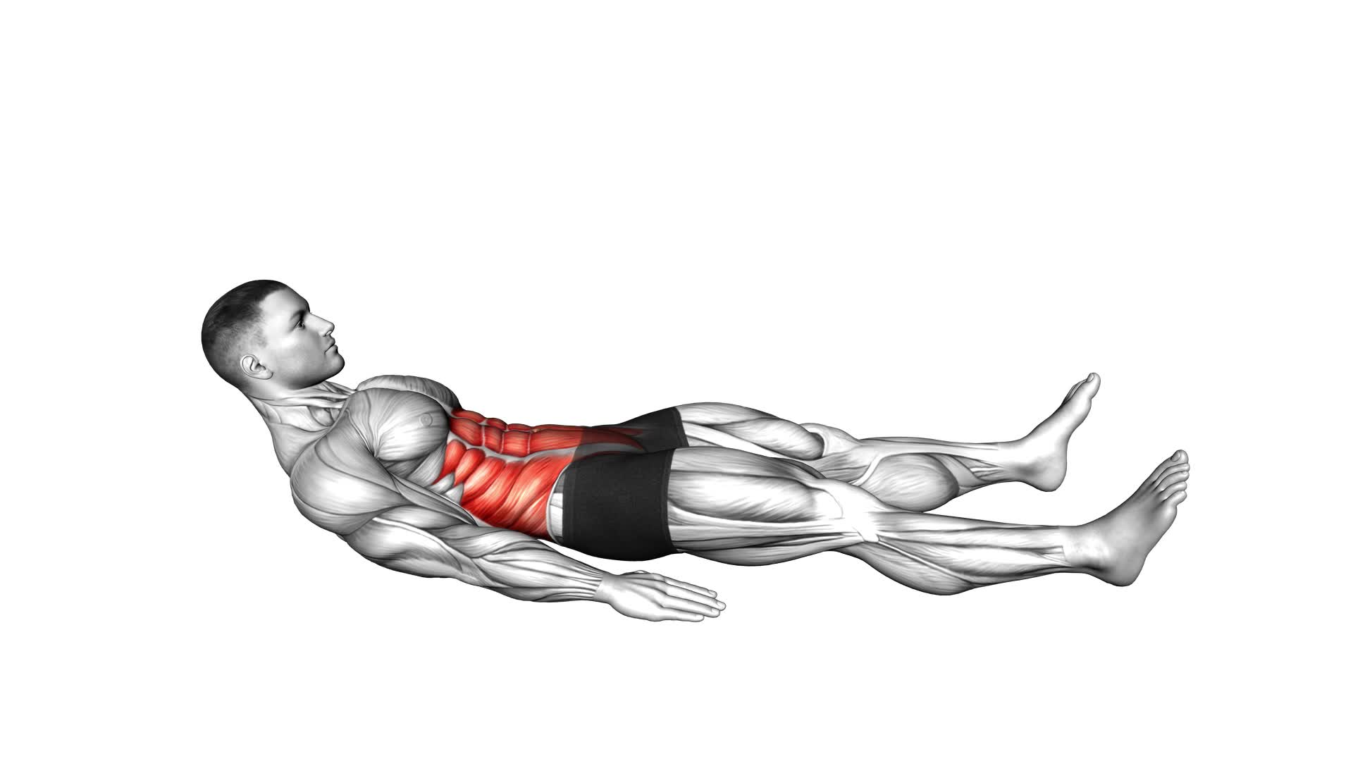 Quarter Sit-up (male) - Video Exercise Guide & Tips