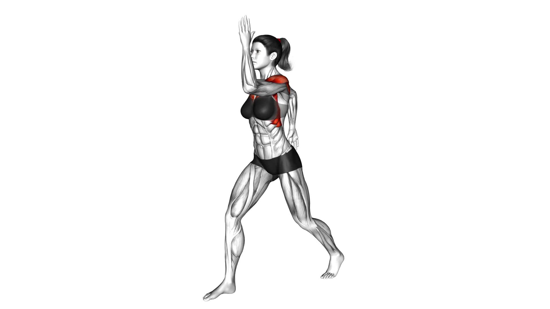 Quickly Swing Arms in Place (Female) - Video Exercise Guide & Tips