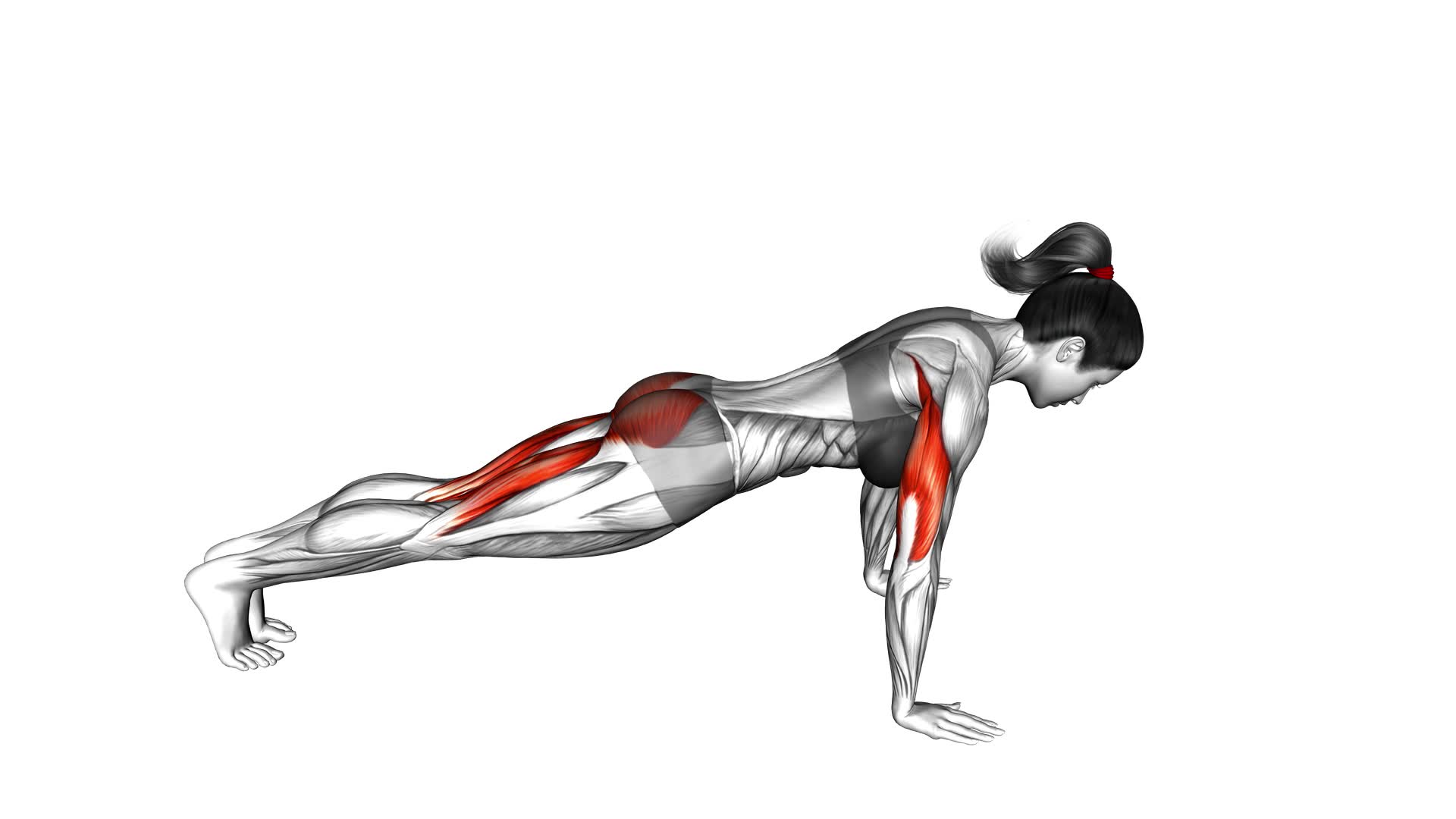 Raise Single Leg Push up (female) - Video Exercise Guide & Tips