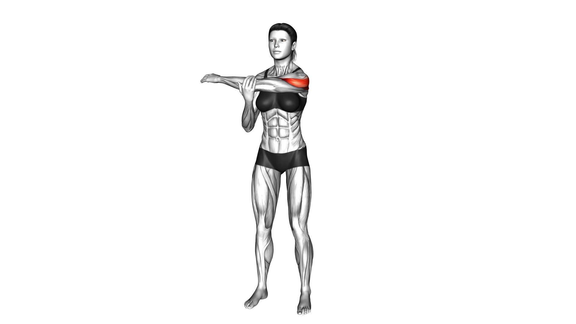 Rear Deltoid Stretch (female) - Video Exercise Guide & Tips