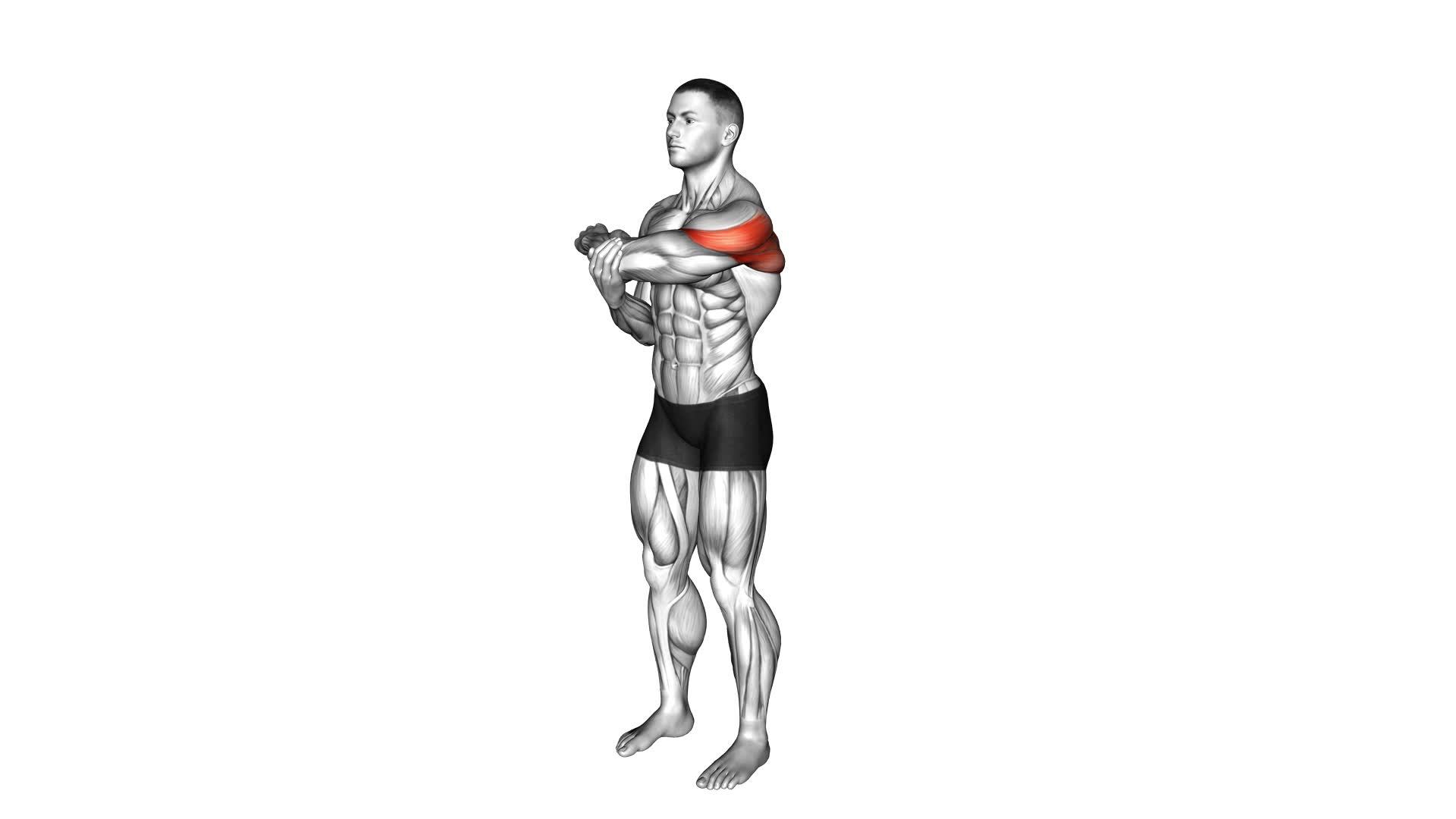 Rear Deltoid Stretch - Video Exercise Guide & Tips
