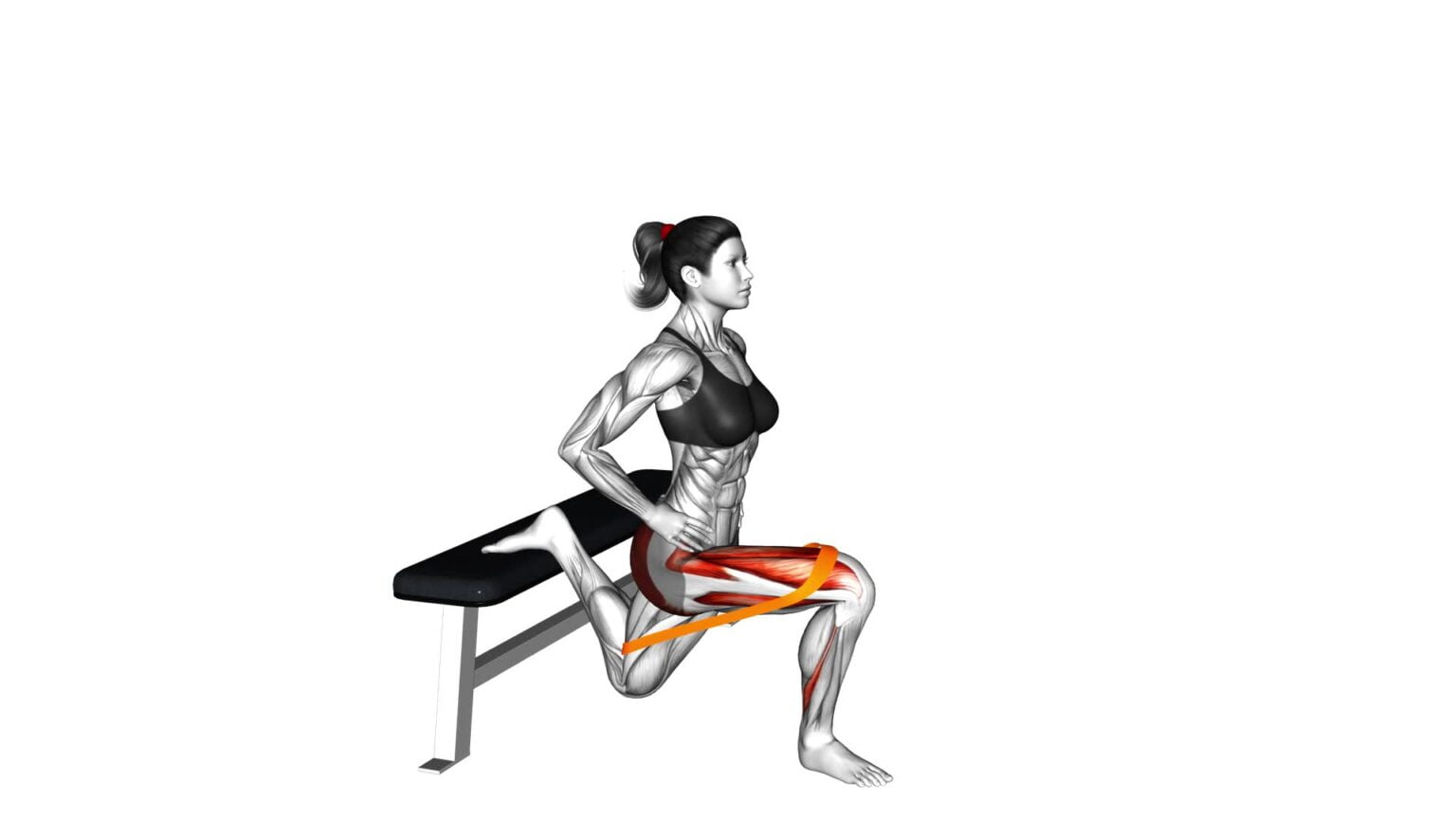 Resistance Band Bulgarian Squat (female) - Exercise Guide & Tips