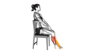 Resistance Band Calf Press Sitting on Chair - Video Exercise Guide & Tips