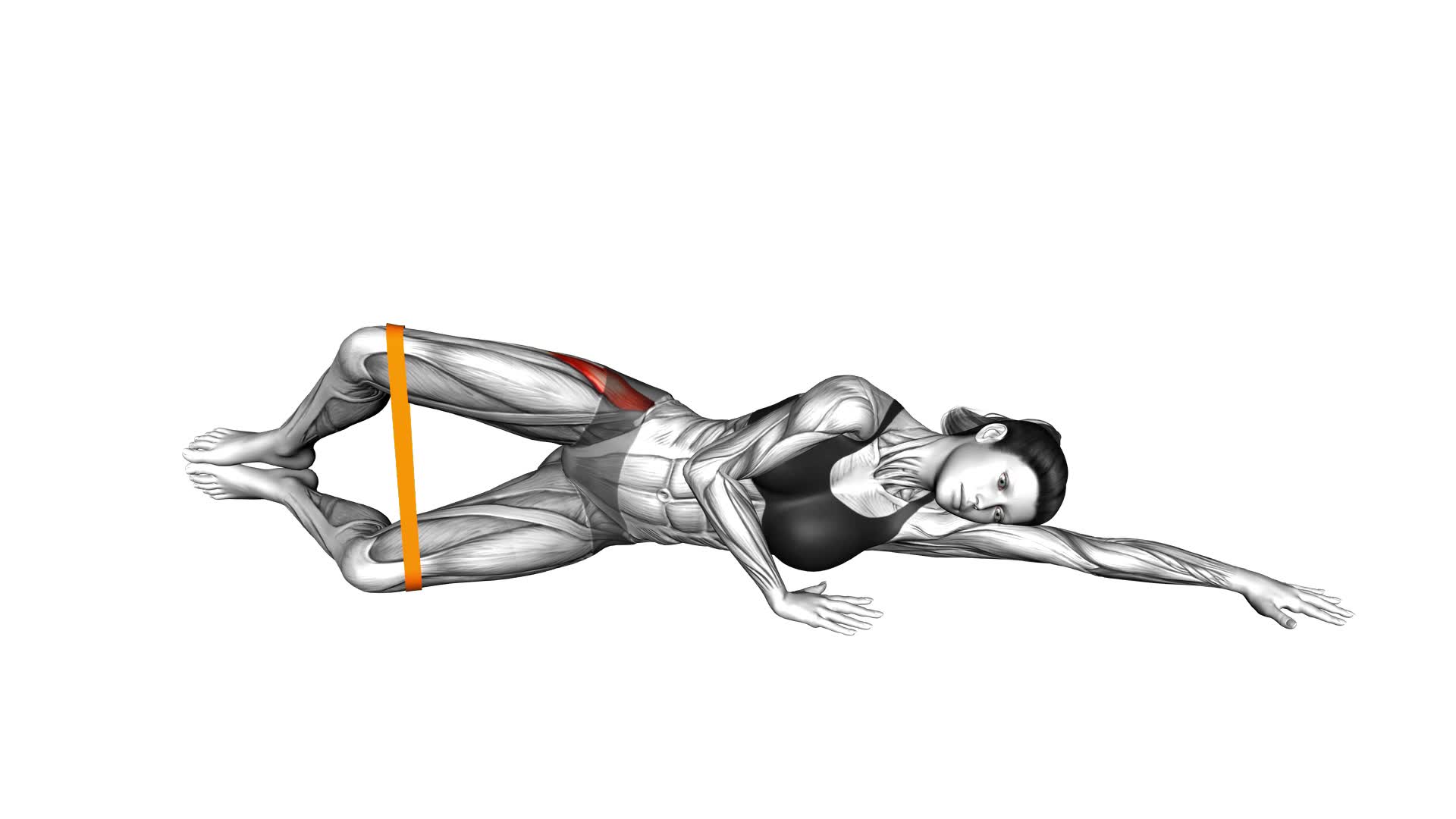 Resistance Band Clam (female) - Video Exercise Guide & Tips