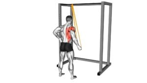 Resistance Band Cross Body Single Straight Arm Supinated Pulldown (male) - Video Exercise Guide & Tips