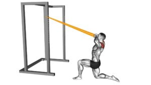 Resistance Band Half Kneeling Face Pull - Video Exercise Guide & Tips